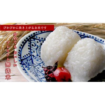 ふるさと納税 登米市 [令和6年産]宮城県登米市産のBG無洗米2kg+専用計量カップ付き