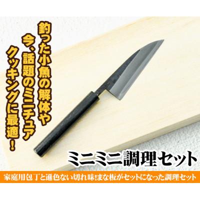 ふるさと納税 南国市 ミニまな板付き[ミニミニ調理セット]