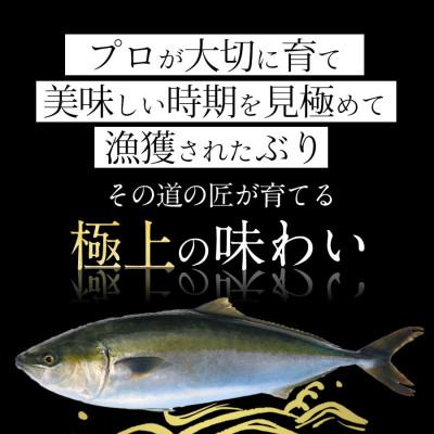 ふるさと納税 延岡市 鰤屋金太郎【冷凍】ぶりフィレ1枚 　1.4kg〜1.6kg　A864-2_2