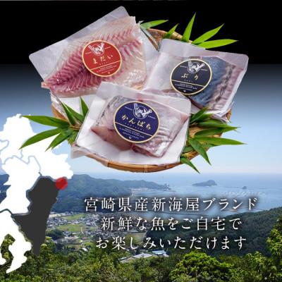 ふるさと納税 延岡市 鰤屋金太郎【冷凍】ぶりたいかんぱちスキンレスロイン各種300g 計900g　B349-2 |  | 01
