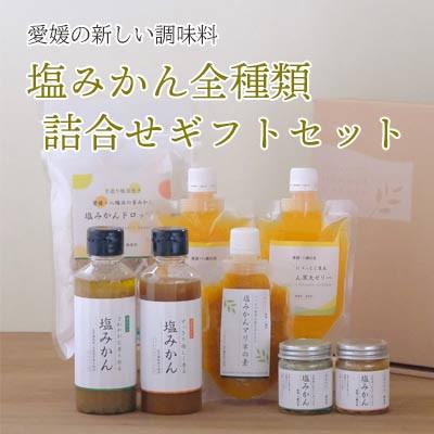 ふるさと納税 八幡浜市 みかんがふわっと香る愛媛の新しい調味料 塩みかん全種詰め合わせセット[D25-81]