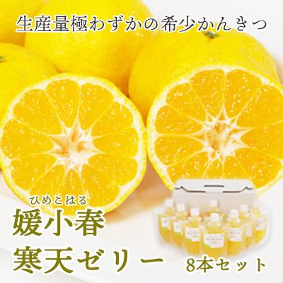 ふるさと納税 八幡浜市 愛媛でしか栽培できない希少柑橘 媛小春(ひめこはる)寒天ゼリー8本セット [C25-82]