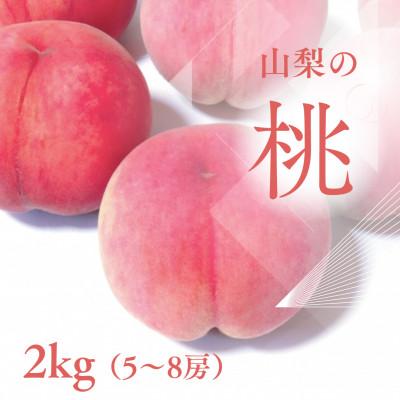 ふるさと納税 山梨市 【2027年発送先行受付】山梨市産 新鮮 桃 約2kg (5〜8玉) | 