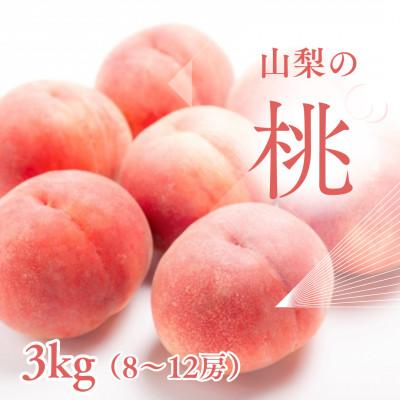 ふるさと納税 山梨市 【2026年先行受付】新鮮!山梨市産 桃 約3kg(8〜12玉)