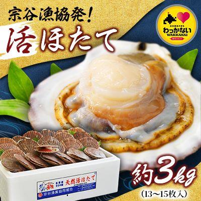 ふるさと納税 稚内市 宗谷漁協発!産地直送!活ほたて約3kg(13〜15枚入)刺身 海鮮 | 