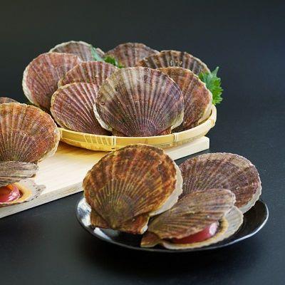ふるさと納税 稚内市 宗谷漁協発!産地直送!活ほたて約3kg(13〜15枚入)刺身 海鮮 |  | 01