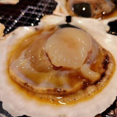 ふるさと納税 稚内市 宗谷漁協発!産地直送!活ほたて約3kg(13〜15枚入)刺身 海鮮 |  | 03