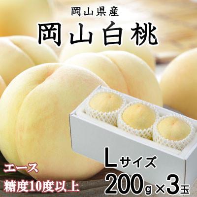 ふるさと納税 玉野市 岡山白桃 エース 3玉×200g(Lサイズ )岡山県産