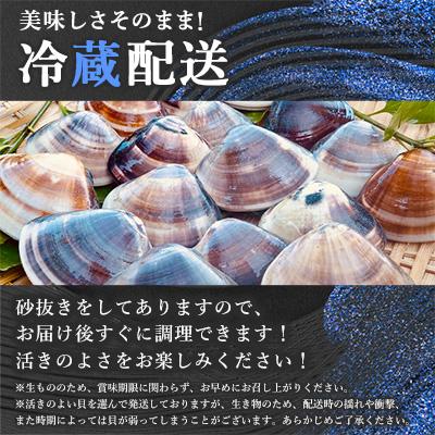 ふるさと納税 いすみ市 天然はまぐり約1.5kg (千葉県産) |  | 03