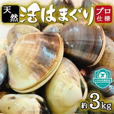 ふるさと納税 いすみ市 天然はまぐり約3kg (千葉県産) | 