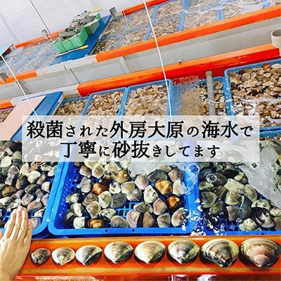 ふるさと納税 いすみ市 天然はまぐり約3kg (千葉県産) |  | 02
