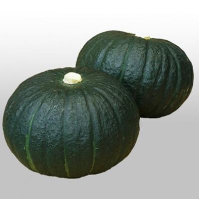 ふるさと納税 牛久市 [A品]かぼちゃ「特濃こふき」(2個)