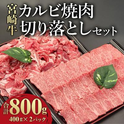 ふるさと納税 宮崎市 宮崎牛 贅沢2種セット 合計800g カルビ 焼肉 牛肉 400g ・ 切り落とし 400g