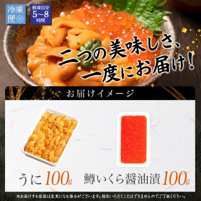 ふるさと納税 弟子屈町 ウニ 100g 鱒いくら醤油漬け 100g 2種 海鮮丼 北海道 弟子屈町 3618 |  | 03