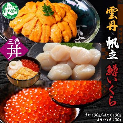 ふるさと納税 弟子屈町 ウニ 100g 鱒いくら醤油漬け 100g ホタテ 100g 海鮮丼 北海道 弟子屈 3627