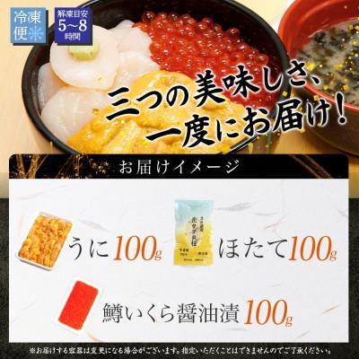 ふるさと納税 弟子屈町 ウニ 100g 鱒いくら醤油漬け 100g ホタテ 100g 海鮮丼 北海道 弟子屈 3627_3