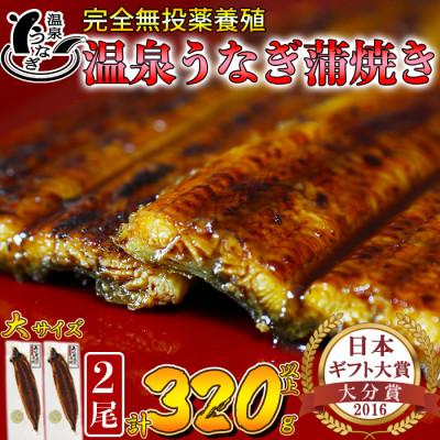 ふるさと納税 杵築市 温泉うなぎ蒲焼 2尾(160g以上サイズ) 国産うなぎ
