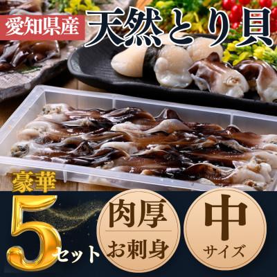 ふるさと納税 南知多町 純国産[貝専門店] 肉厚 トリ貝 刺身 [中9枚入り]5セット 岬だより