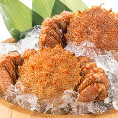 ふるさと納税 八雲町 厳選3特品 北海道噴火湾産毛ガニ 400g前後×2杯 海鮮 北海道 八雲町