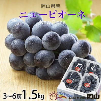 ふるさと納税 玉野市 [2026年6月下旬より順次発送]岡山県産 ニューピオーネ 1.5kg(3房〜6房)