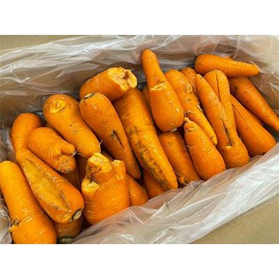 ふるさと納税 美幌町 訳あり有機にんじんジュース用(割れ/折れ等) 10kg