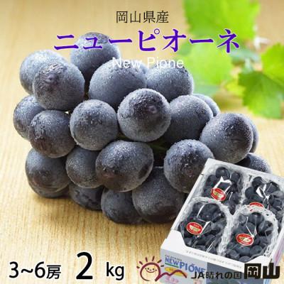 ふるさと納税 岡山市 【2026年6月下旬より順次発送】岡山県産