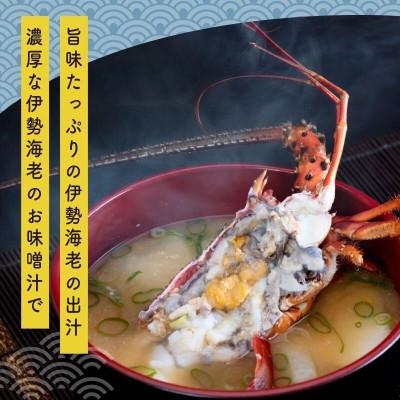 ふるさと納税 須崎市 【 数量限定 】 訳あり 冷凍 伊勢海老 1〜2匹 (400g〜500g) |  | 03