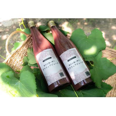 ふるさと納税 羽曳野市 贅沢な濃い搾り デラウェアジュース 720ml 2本