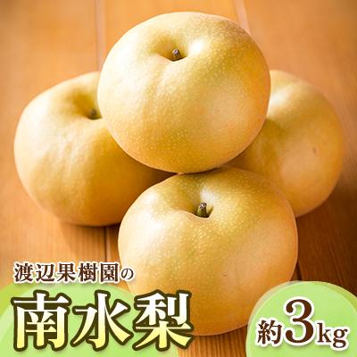 ふるさと納税 須賀川市 渡辺果樹園の南水梨 約3kg[9月上旬〜9月下旬にお届け]