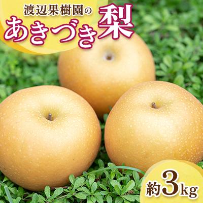 ふるさと納税 須賀川市 渡辺果樹園のあきづき梨 約3kg[9月中旬〜10月上旬にお届け]