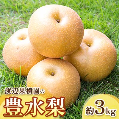 ふるさと納税 須賀川市 渡辺果樹園の豊水梨 約3kg[9月上旬〜9月下旬にお届け]