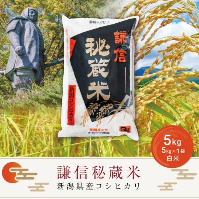 ふるさと納税 上越市 謙信秘蔵米5kg