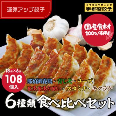 ふるさと納税 宇都宮市 宇都宮餃子 運気アップ餃子 6種類食べ比べ(合計108個) 保存料不使用