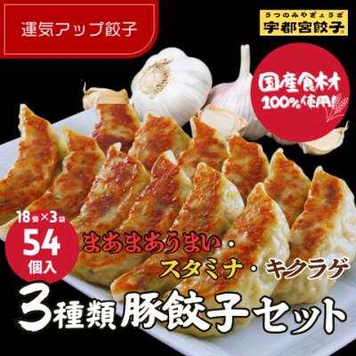 ふるさと納税 宇都宮市 宇都宮餃子 運気アップ餃子 豚餃子3種類食べ比べ(合計54個) 保存料不使用