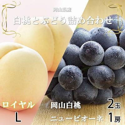 ふるさと納税 浅口市 岡山県産 岡山白桃ロイヤルLサイズ200g×2玉・ニューピオーネ400g×1房 詰合せ