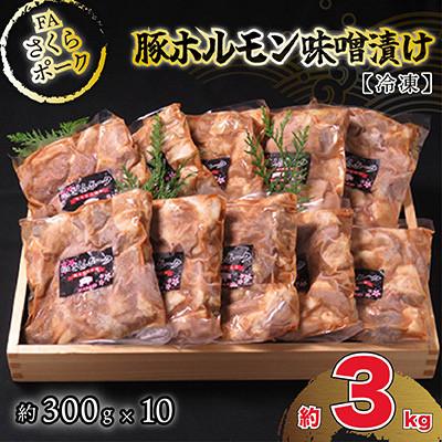 ふるさと納税 山鹿市 FAさくらポーク豚ホルモン味噌漬け(冷凍)10個