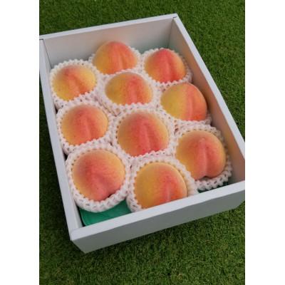 ふるさと納税 紀の川市 和歌山県産桃 約1.8kg 8〜9玉入り 品種おまかせ