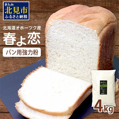 ふるさと納税 北見市 【北海道オホーツク産】パン用小麦粉(強力粉)　春よ恋　4kg | 