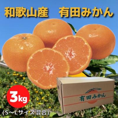 ふるさと納税 九度山町 和歌山県産 有田みかん 3kg 秀品