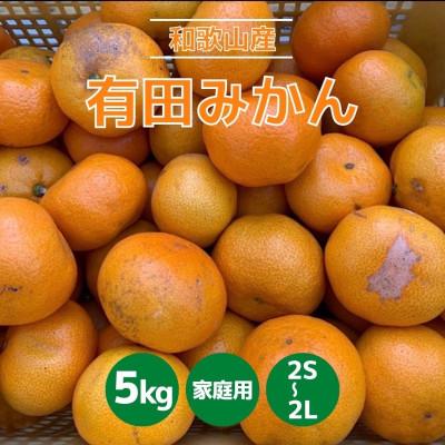 ふるさと納税 九度山町 和歌山県産 有田みかん 5kg 家庭用