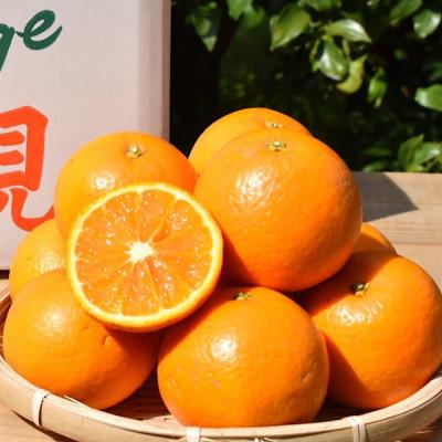 ふるさと納税 九度山町 和歌山県産 有田の清見 約5kg 秀品