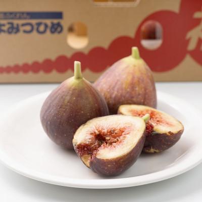 ふるさと納税 大任町 [先行受付]福岡産ブランドいちじく・とよみつひめ約300g×4パック(大任町)