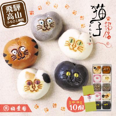 ふるさと納税 高山市 猫子づくし