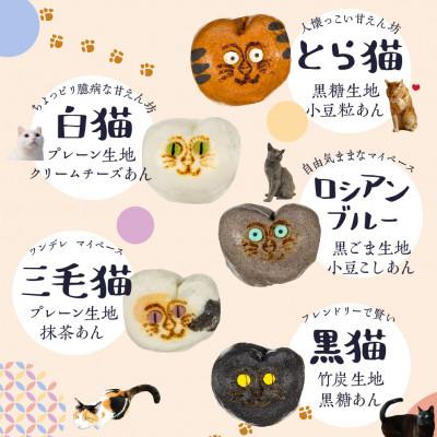 ふるさと納税 高山市 猫子づくし TR4190 : Yahoo!ふるさと納税 - 通販