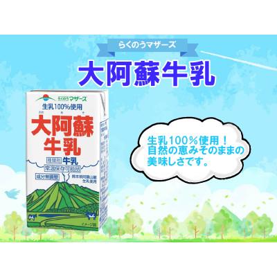 ふるさと納税 宇城市 大阿蘇牛乳 250ml×24本(宇城市) | 