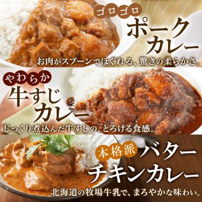 ふるさと納税 弟子屈町 カレー5種食べ比べセット計5個 バターチキン・チキンレッグスープ・ビーフ・ポーク・牛すじ 3758 |  | 02