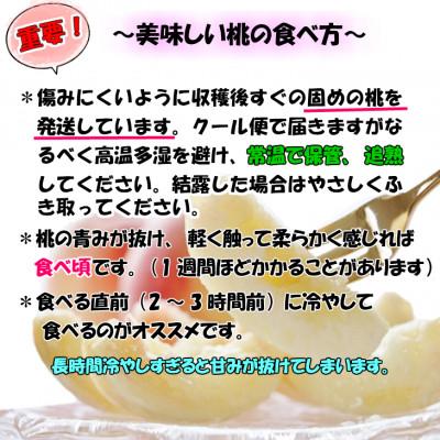 ふるさと納税 那智勝浦町 【秀品】ギフト、贈答品にも!和歌山ブランド白桃約2kgの画像