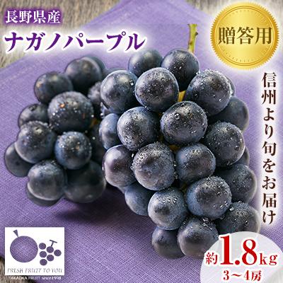 ふるさと納税 中野市 2026年発送「産地より信州中野の旬をお届け