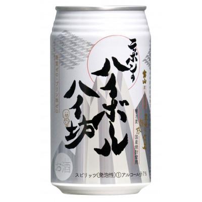 ふるさと納税 日置市 ニッポンのハイボール ハイ坊 350ml×24缶
