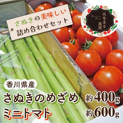 ふるさと納税 東かがわ市 はなまる農園のおいしい詰め合わせ さぬきのめざめ&amp;ミニトマト